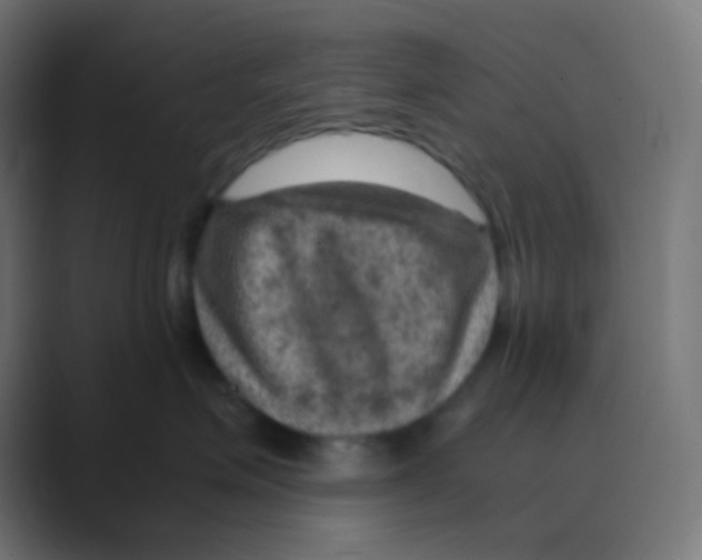 X0000088440623200706191253