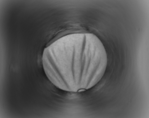 X0000088440624200706191253