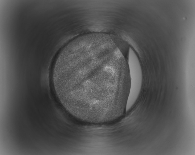 X0000088440626200706191253