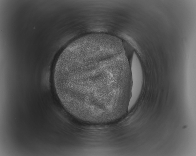 X0000088440627200706191253