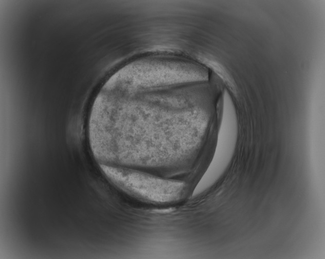 X0000088440628200706191253