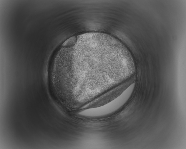 X0000088440630200706191253