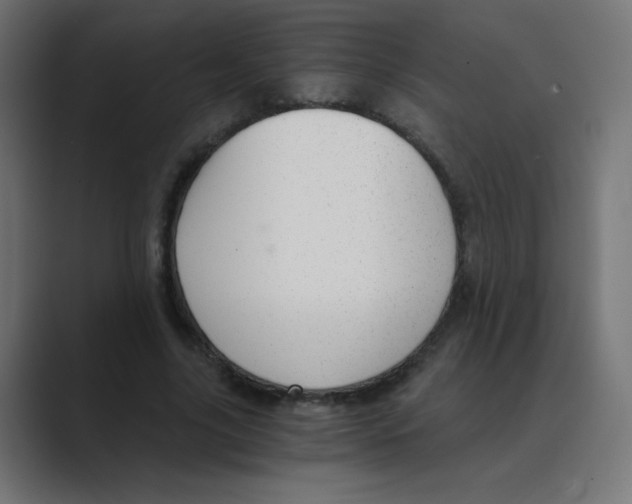 X0000088440635200706191253