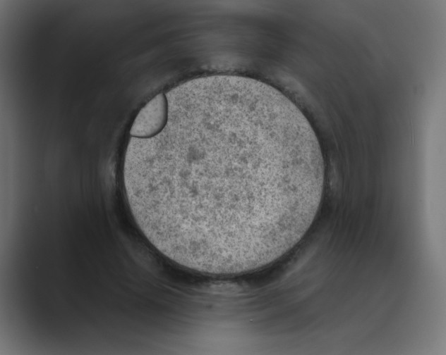 X0000088440636200706191253