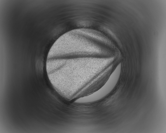 X0000088440637200706191253