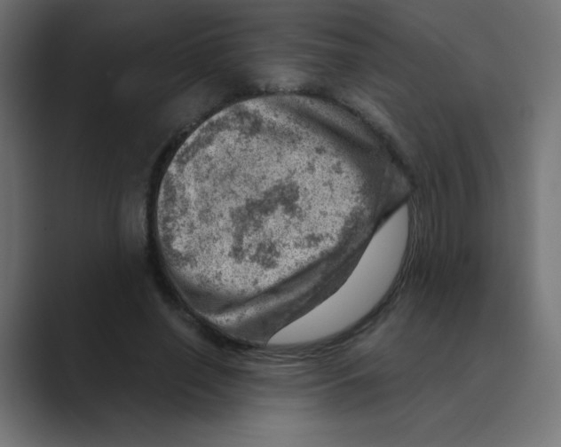 X0000088440638200706191253