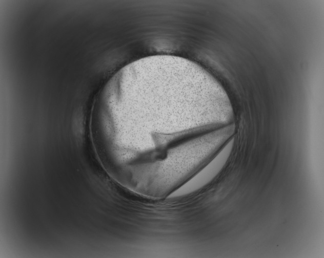 X0000088440639200706191253