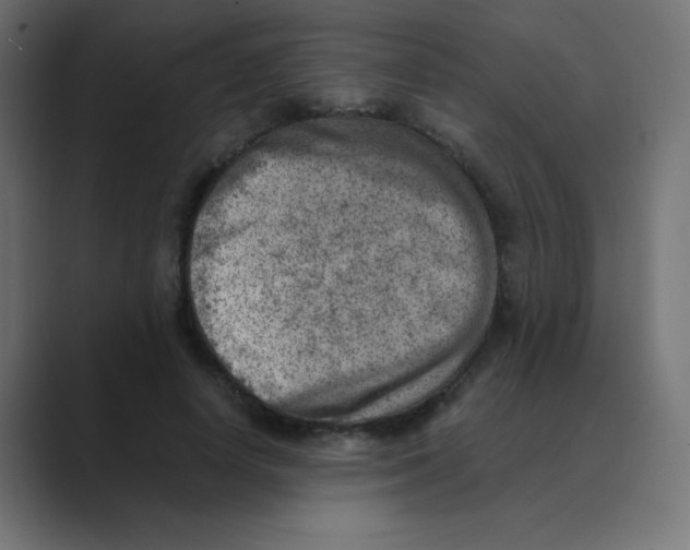 X0000088440642200706191253