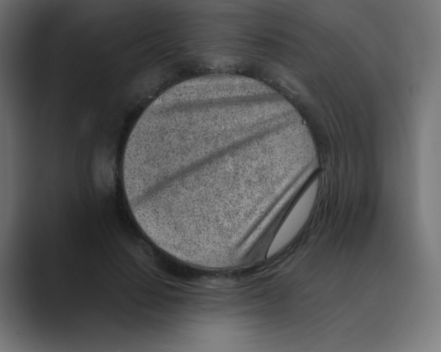 X0000088440644200706191253