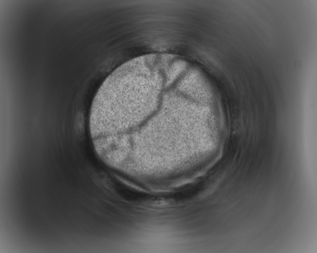 X0000088440646200706191253