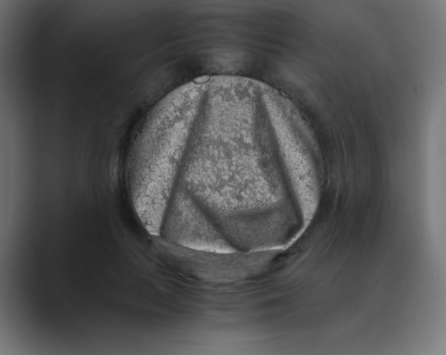 X0000088440647200706191253