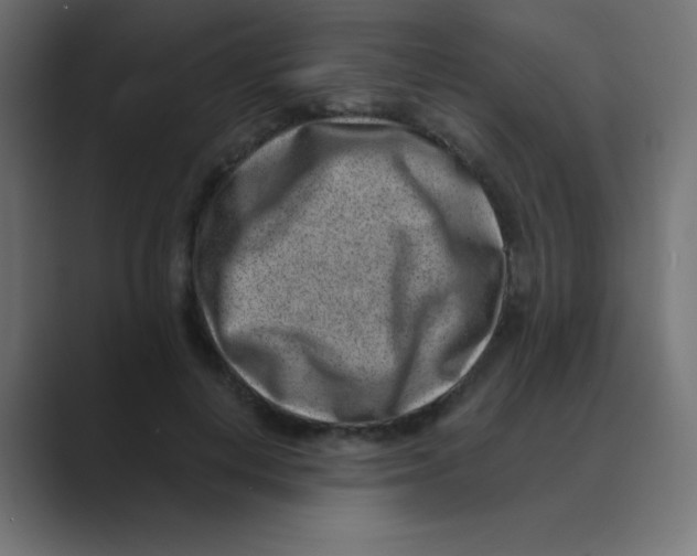 X0000088440648200706191253