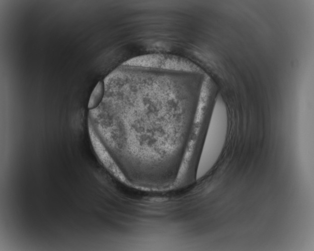 X0000088440649200706191253