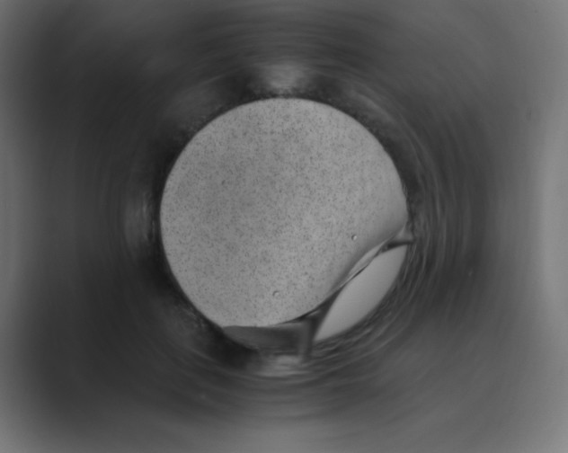 X0000088440651200706191253