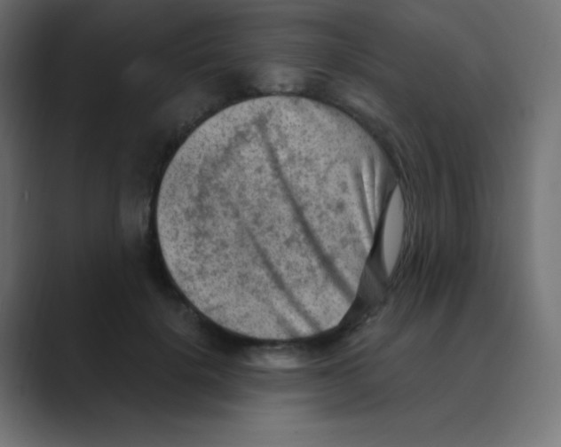 X0000088440652200706191253