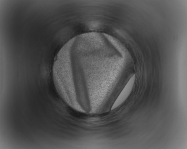 X0000088440653200706191253