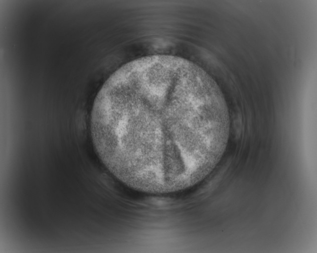 X0000088440654200706191253