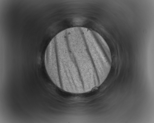 X0000088440655200706191253