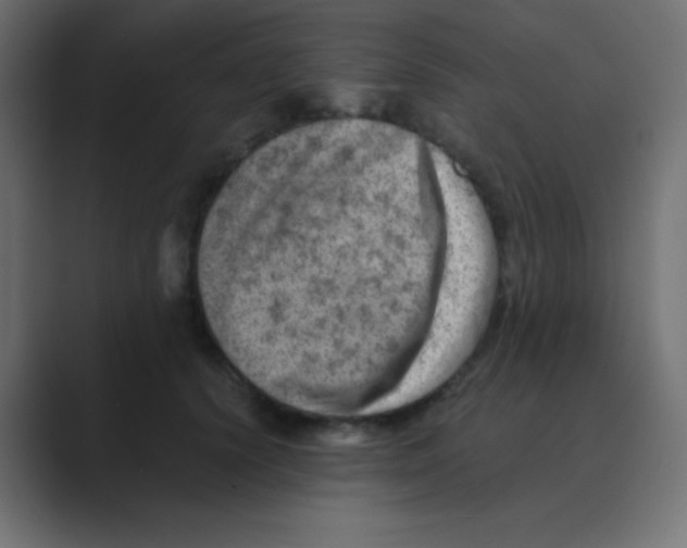 X0000088440656200706191253