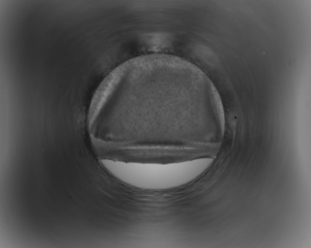 X0000088440657200706191253