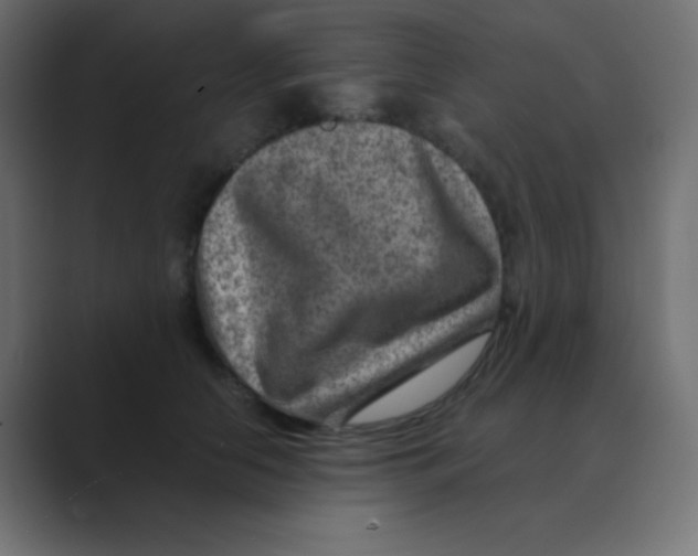 X0000088440658200706191253