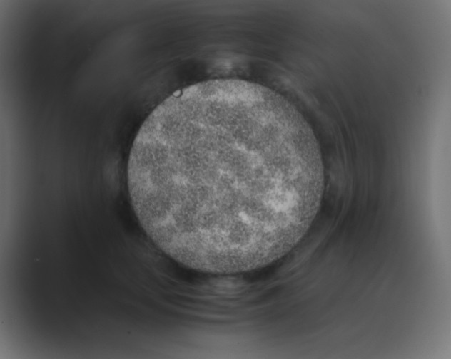 X0000088440659200706191253