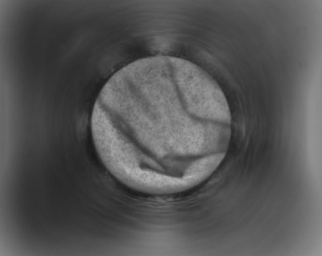 X0000088440660200706191253