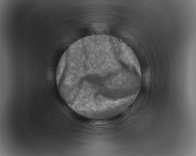 X0000088440662200706191253