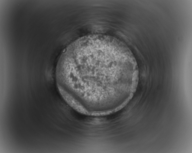 X0000088440663200706191253