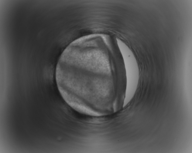 X0000088440664200706191253