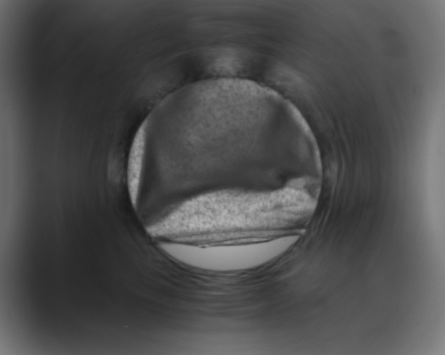 X0000088440665200706191253