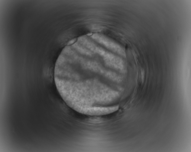 X0000088440666200706191253