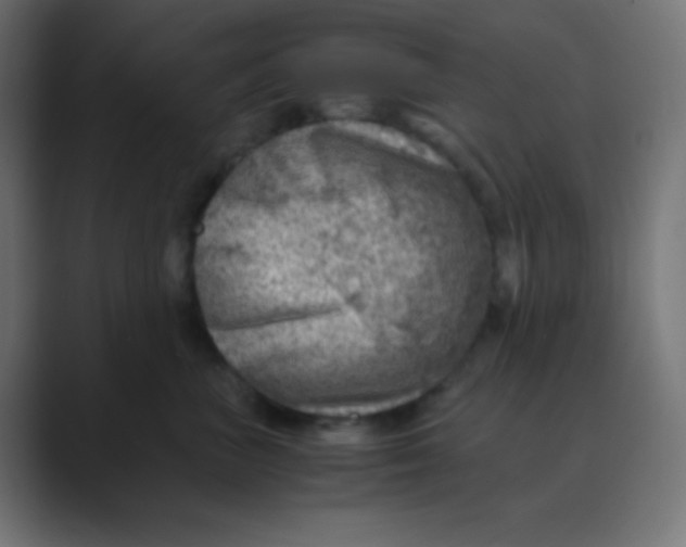 X0000088440667200706191253