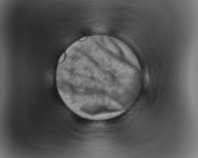 X0000088440668200706191253