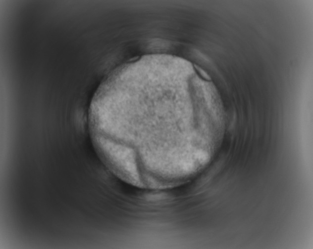 X0000088440669200706191253