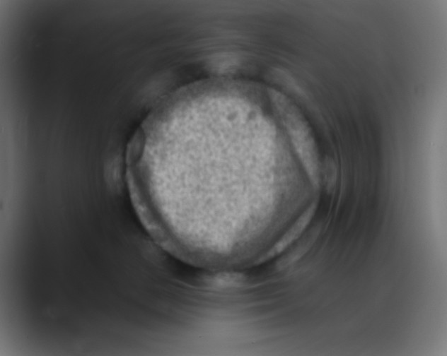 X0000088440670200706191253