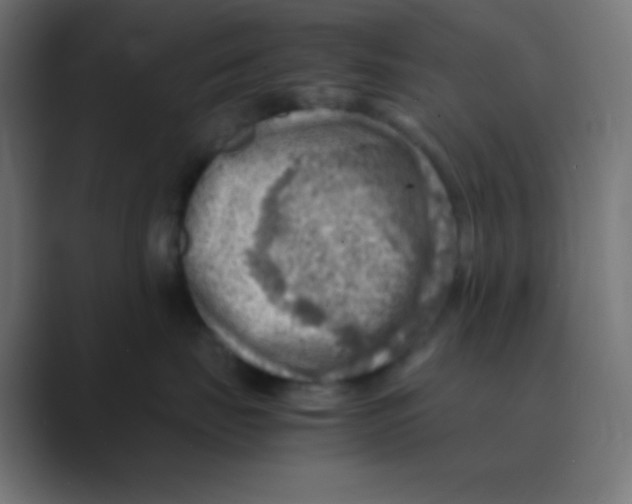 X0000088440671200706191253