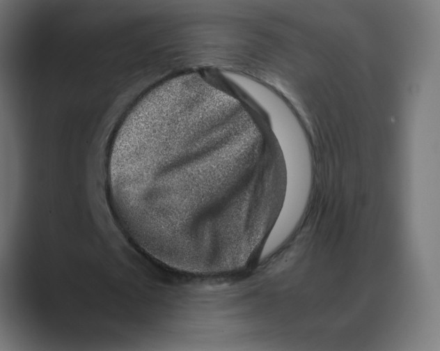 X0000088440673200706191253