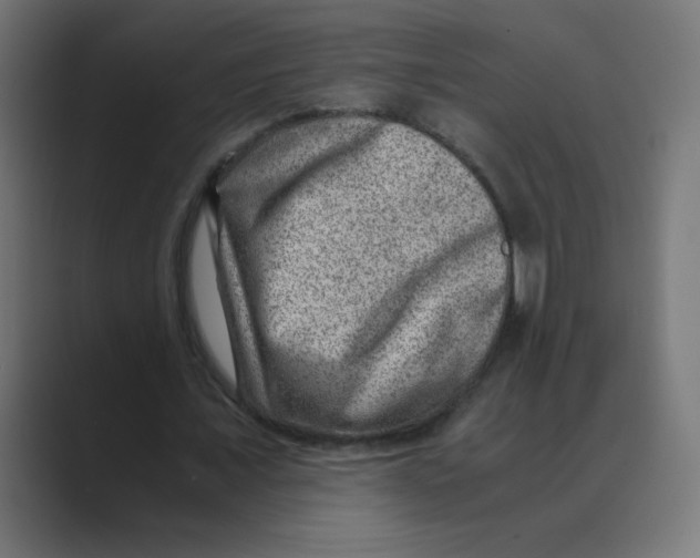 X0000088440675200706191253