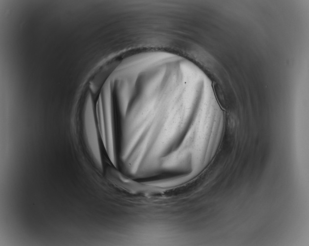 X0000088440676200706191253