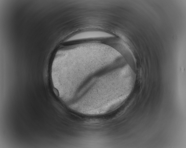 X0000088440677200706191253