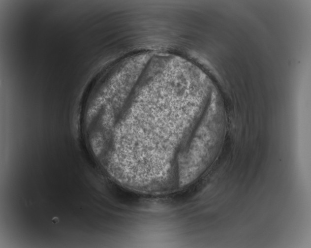 X0000088440679200706191253