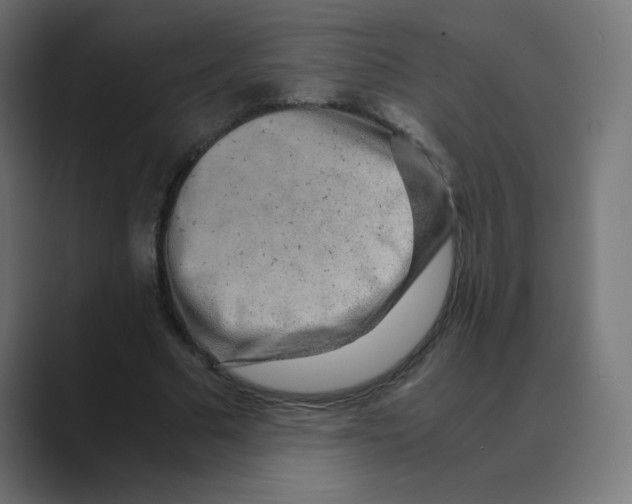 X0000088440681200706191253