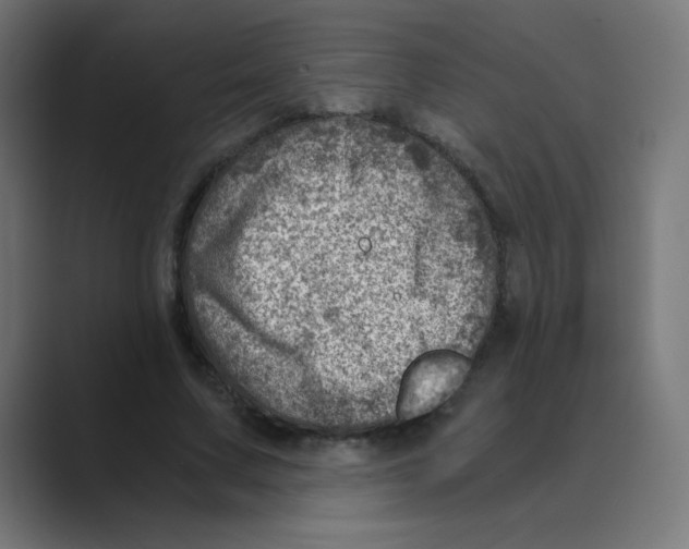 X0000088440683200706191253