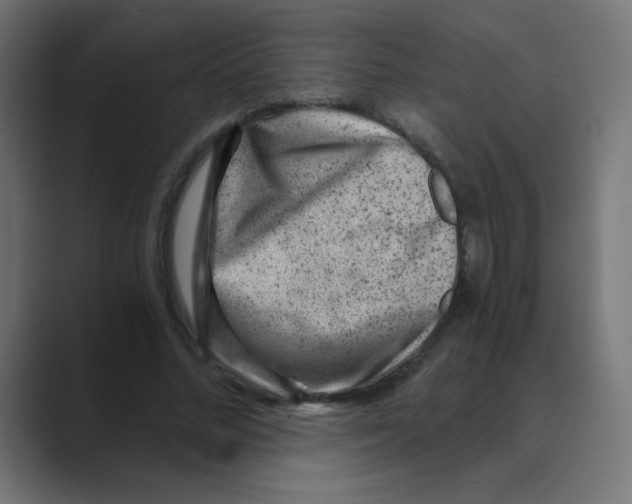 X0000088440684200706191253