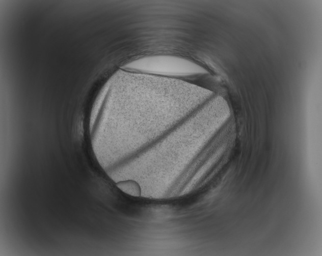 X0000088440685200706191253