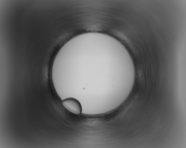 X0000088440686200706191253