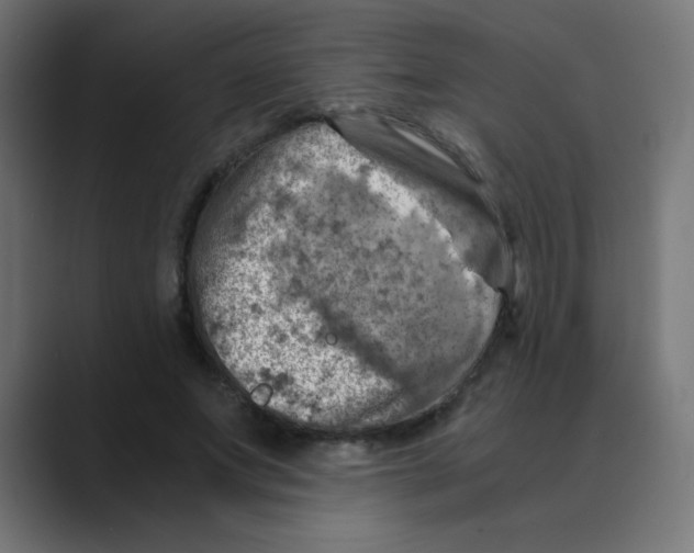 X0000088440687200706191253