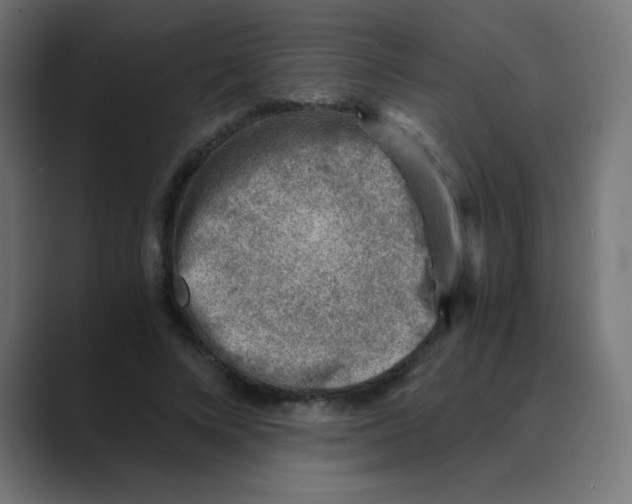 X0000088440688200706191253