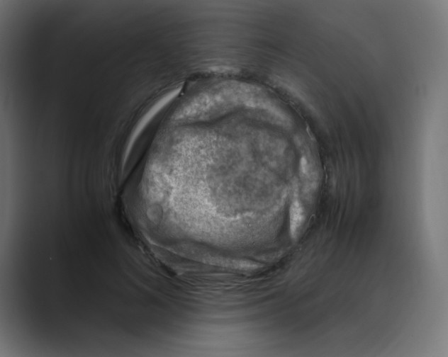 X0000088440692200706191253